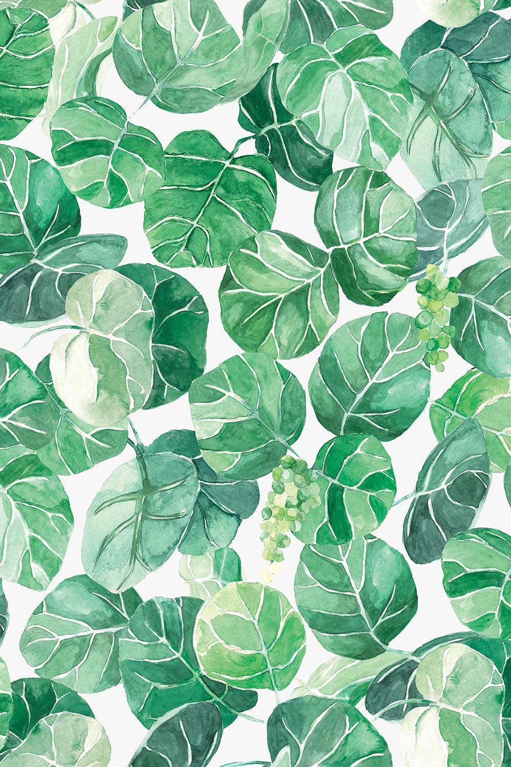 sea grape vs fiddle leaf fig Sea Grape Leaf Botanical Grasscloth Wallpaper