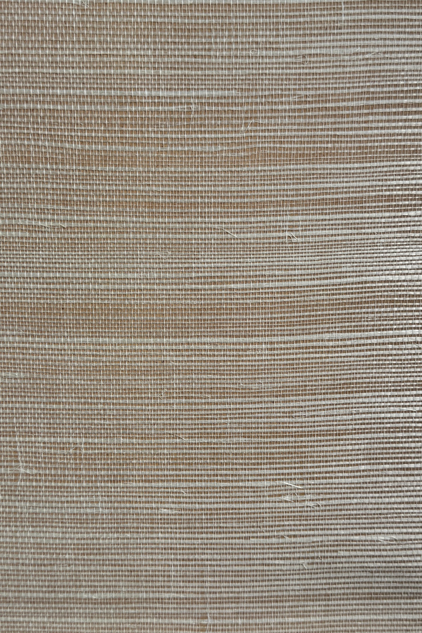 Natural woven sisal wallpaper in tan with off-white backing and organic texture