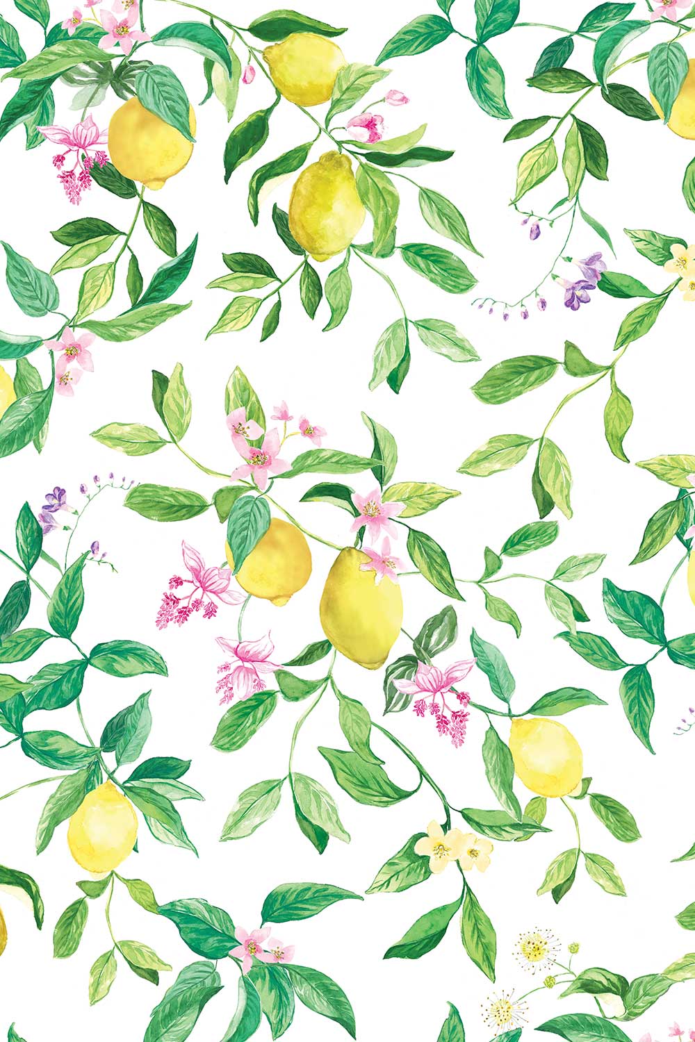lemon wallpaper, citrus wallpaper, limoncello wallpaper, white and pastel wallpaper, fruit wallpaper, italian inspired wallpaper, kitchen wallpaper, lemon floral print on all-natural and eco-friendly wall-covering grasscloth and paperweave