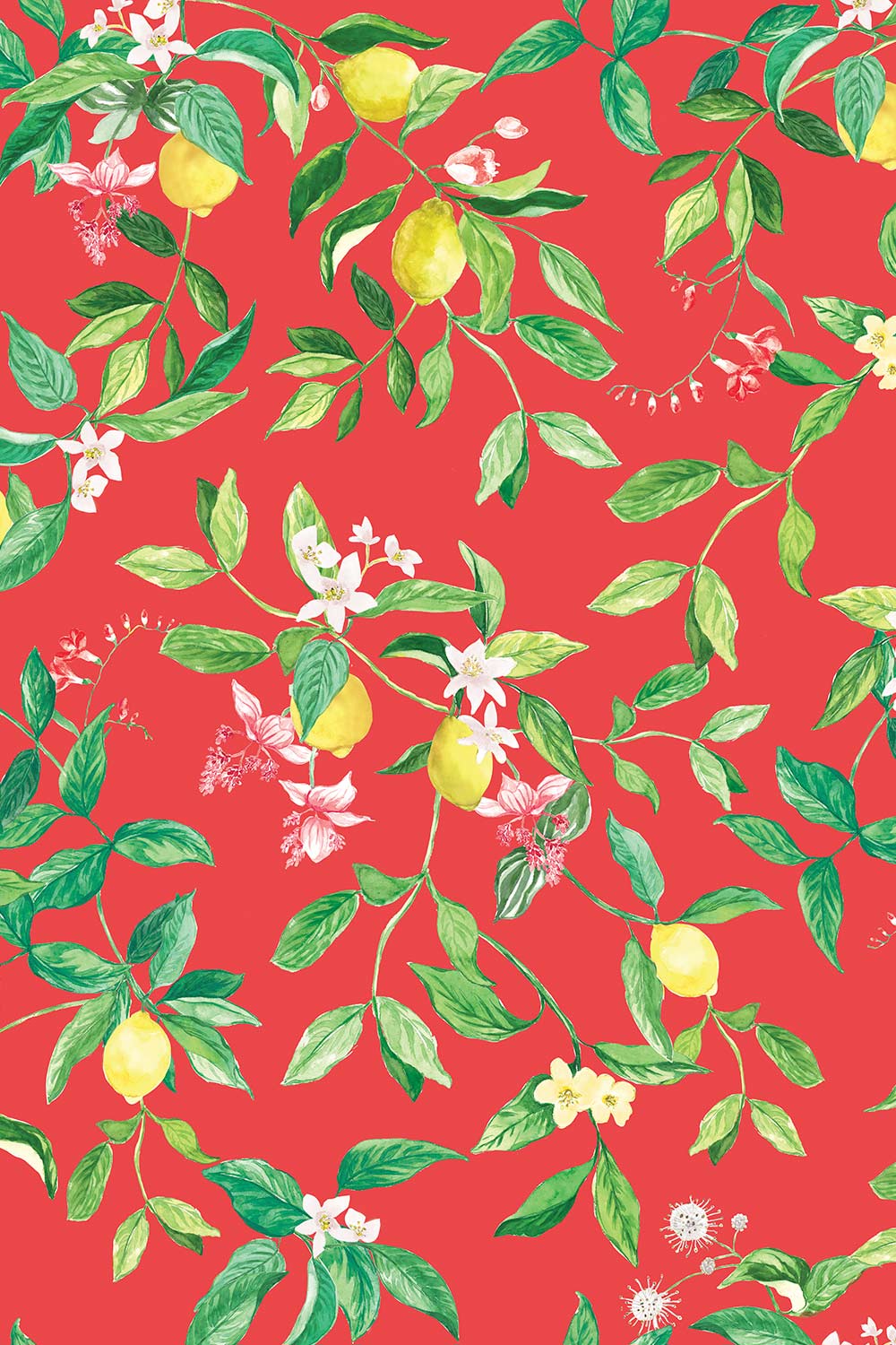 lemon wallpaper, citrus wallpaper, limoncello wallpaper, blue wallpaper, fruit wallpaper, italian inspired wallpaper, kitchen wallpaper, lemon floral print on eco friendly traditional matte luxury wall covering