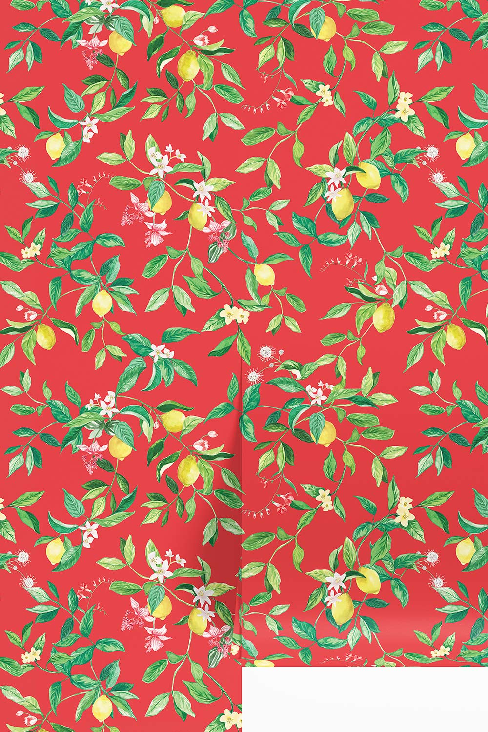 lemon wallpaper, citrus wallpaper, limoncello wallpaper, white and pastel wallpaper, fruit wallpaper, italian inspired wallpaper, kitchen wallpaper, lemon floral print on all-natural and eco-friendly wall-covering grasscloth and paperweave
