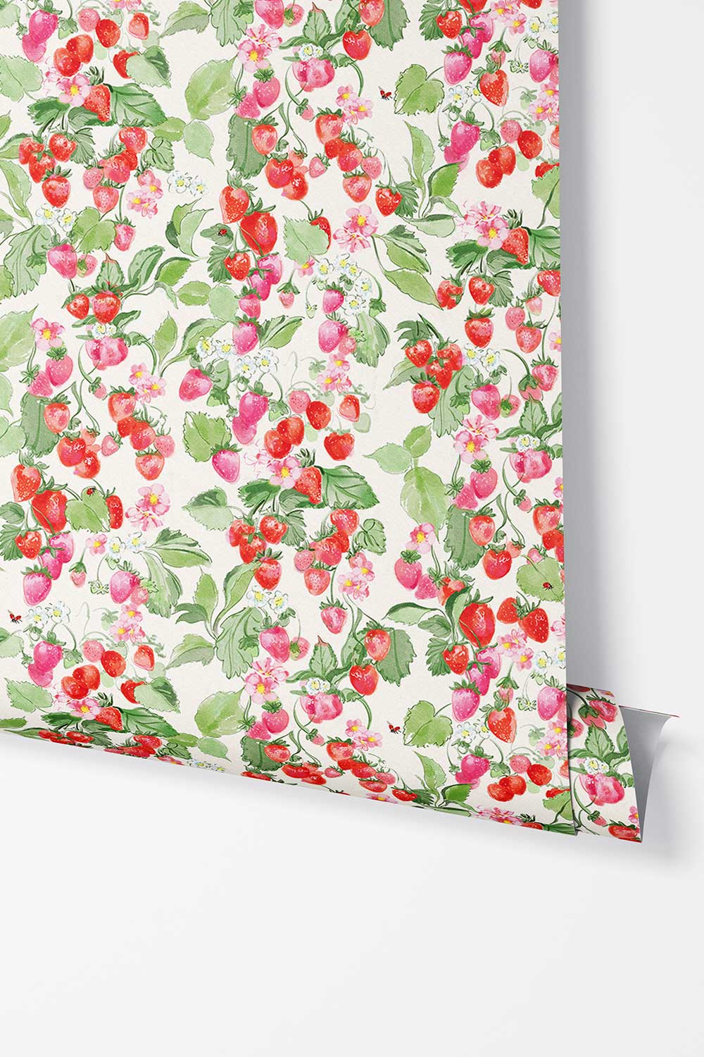 Strawberry Fields removable peel and stick wallpaper in Sun-Ripened Red featuring watercolor red and pink strawberries, blossoms, green leaves and tiny ladybugs.