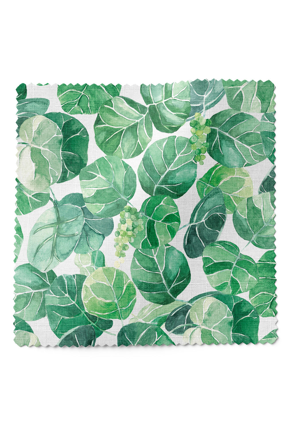 Coastal botanical upholstery fabric with oversized hand-painted sea grape leaves in layered watercolor greens on a light white base