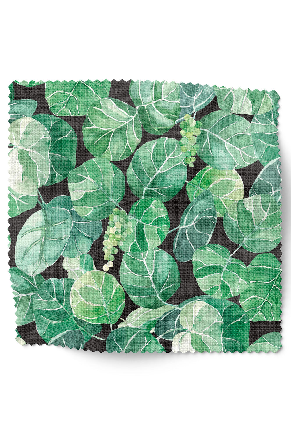 Coastal botanical upholstery fabric with oversized hand-painted sea grape leaves in layered watercolor greens on a light black base