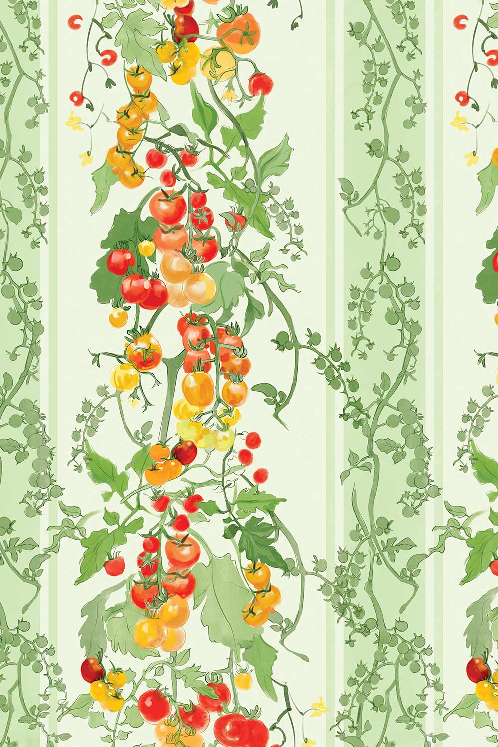 tomato wallpaper, vegetable wallpaper, stripe wallpaper, kitchen wallpaper, garden wallpaper, red green wallpaper, botanical stripe, farmers market wallpaper, kids wallpaper, watercolor wallpaper, luxury wallpaper; printed on all-natural and eco-friendly wall-covering grasscloth and paperweave